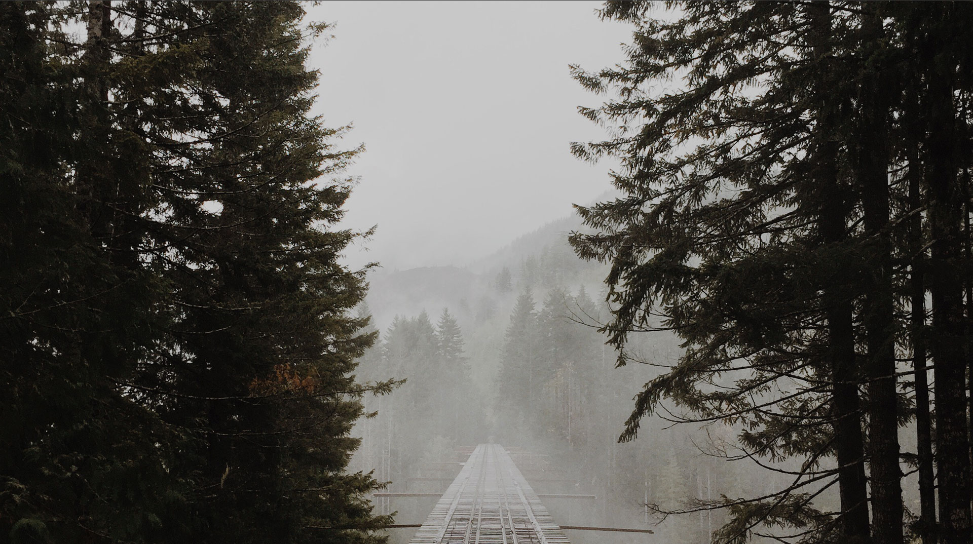 Make Life Easier For Ebola & Alzheimer